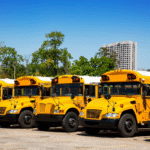 A row of bright yellow school buses parked in a lot under clear blue skies.