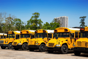 A row of bright yellow school buses parked in a lot under clear blue skies.