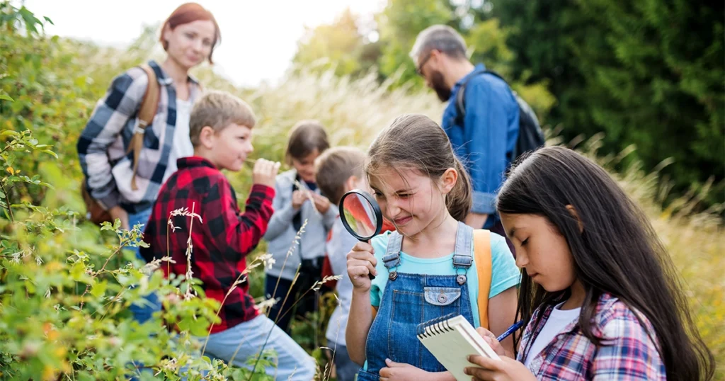 Children exploring nature on a school field trip
